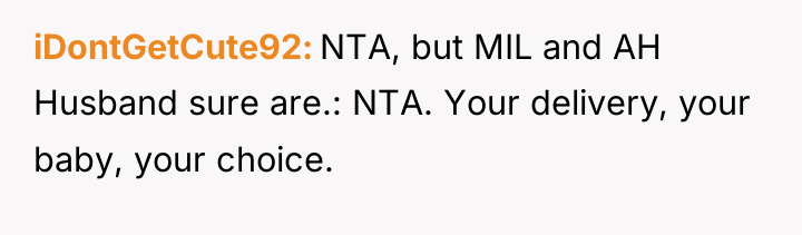 iDontGetCute92 NTA, but MIL and AH Husband sure are.: NTA....