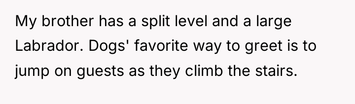 My brother has a split level and a large Labrador....