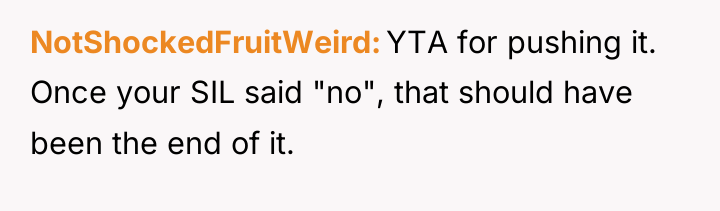 NotShockedFruitWeird YTA for pushing it. Once your SIL said "no",...