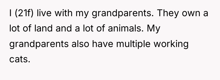 I (21f) live with my grandparents. They own a lot...