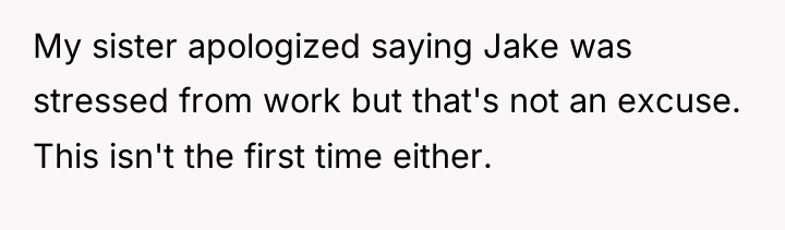 My sister apologized saying Jake was stressed from work but...