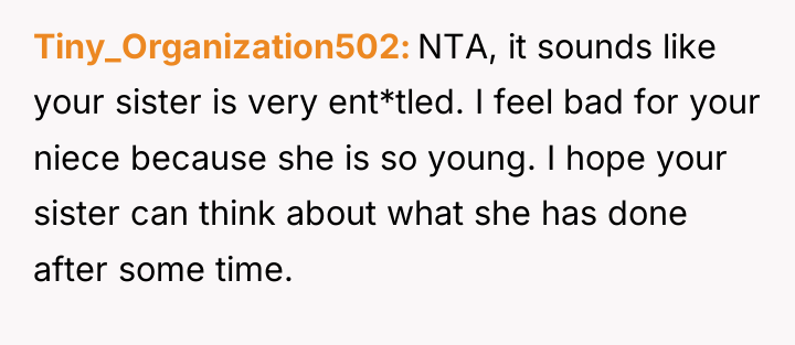 Tiny_Organization502 NTA, it sounds like your sister is very ent*tled....