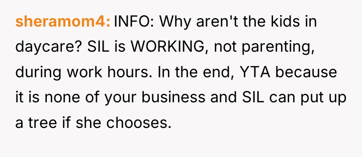 sheramom4 INFO: Why aren't the kids in daycare? SIL is...