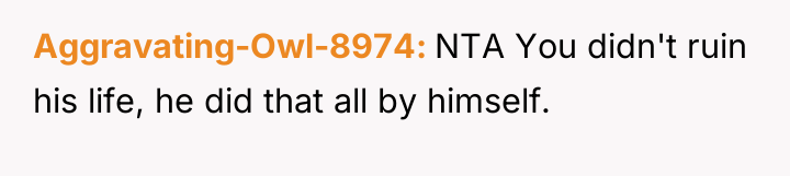 Aggravating-Owl-8974 NTA You didn't ruin his life, he did that...