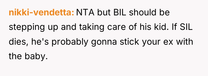 nikki-vendetta NTA but BIL should be stepping up and taking...