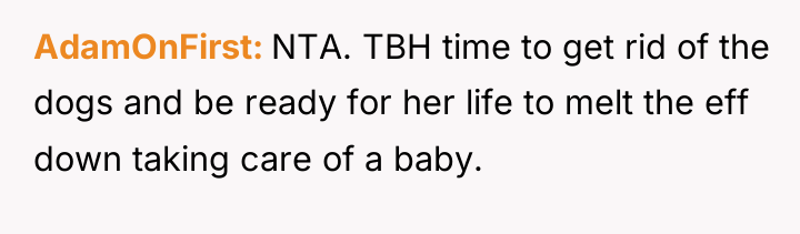AdamOnFirst NTA. TBH time to get rid of the dogs...