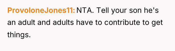 ProvoloneJones11 NTA. Tell your son he's an adult and adults...