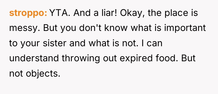 stroppo YTA. And a liar! Okay, the place is messy....