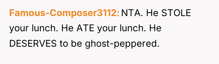 Famous-Composer3112 NTA. He STOLE your lunch. He ATE your lunch....