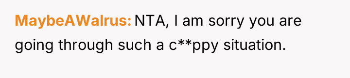 MaybeAWalrus NTA, I am sorry you are going through such...