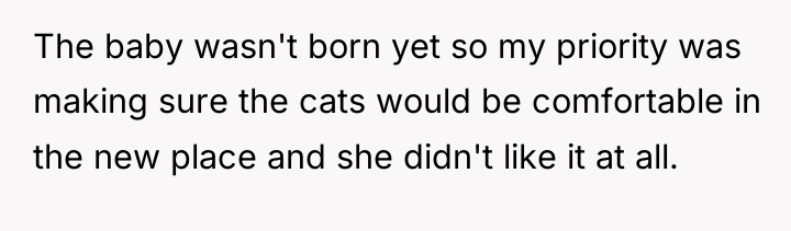 The baby wasn't born yet so my priority was making...