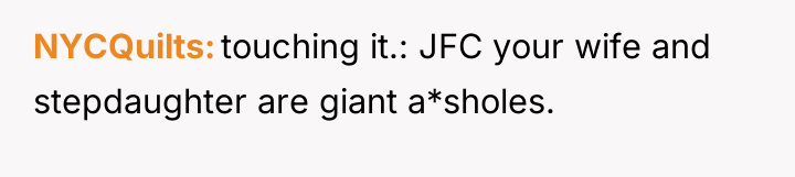 NYCQuilts touching it.: JFC your wife and stepdaughter are giant...