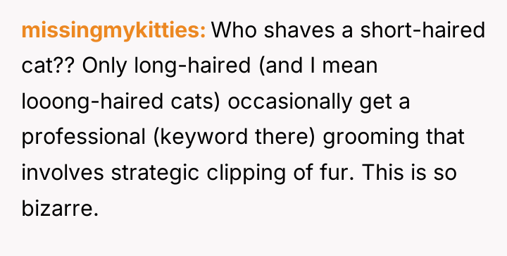 missingmykitties Who shaves a short-haired cat?? Only long-haired (and I...