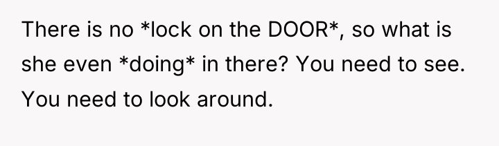 There is no *lock on the DOOR*, so what is...