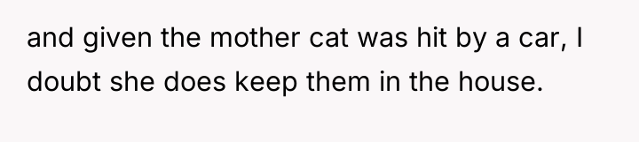 and given the mother cat was hit by a car,...