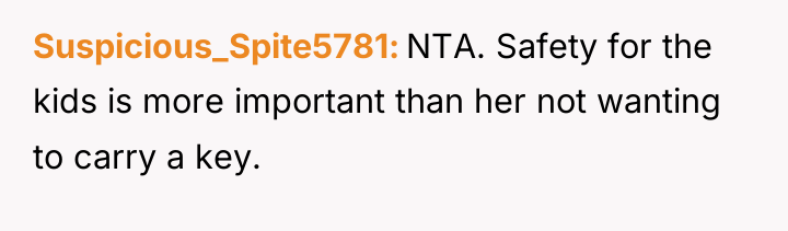 Suspicious_Spite5781 NTA. Safety for the kids is more important than...