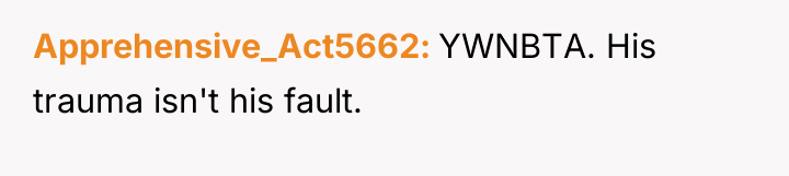 Apprehensive_Act5662 YWNBTA. His trauma isn't his fault.