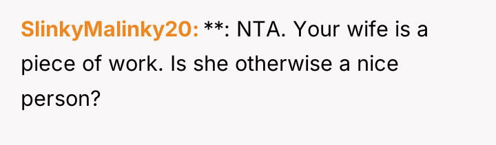 SlinkyMalinky20 **: NTA. Your wife is a piece of work....