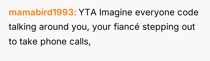 mamabird1993 YTA Imagine everyone code talking around you, your fiancé...