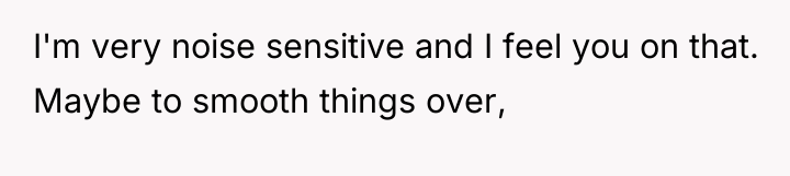 I'm very noise sensitive and I feel you on that....