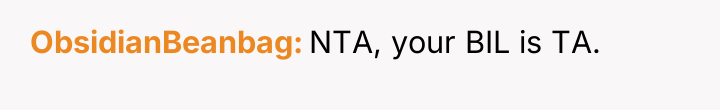 ObsidianBeanbag NTA, your BIL is TA.