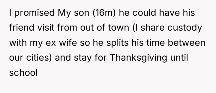 I promised My son (16m) he could have his friend...