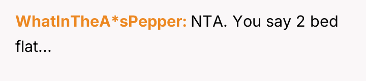 WhatInTheA*sPepper NTA. You say 2 bed flat...