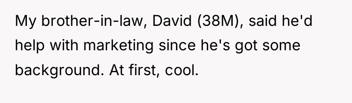 My brother-in-law, David (38M), said he'd help with marketing since...