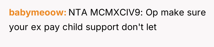 babymeoow NTA MCMXCIV9: Op make sure your ex pay child...