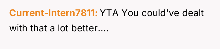 Current-Intern7811 YTA You could've dealt with that a lot better....