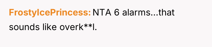 FrostyIcePrincess NTA 6 alarms...that sounds like overk**l.