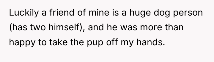 Luckily a friend of mine is a huge dog person...