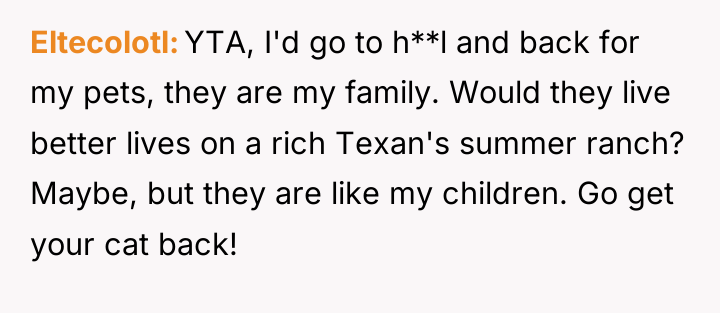 Eltecolotl YTA, I'd go to h**l and back for my...