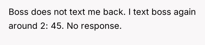 Boss does not text me back. I text boss again...