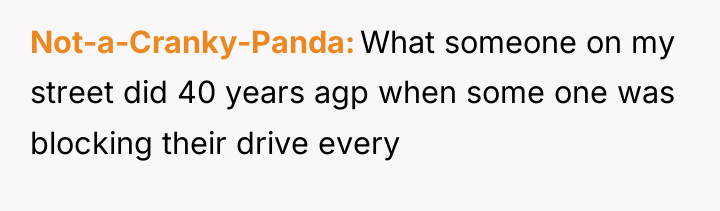 Not-a-Cranky-Panda What someone on my street did 40 years agp...