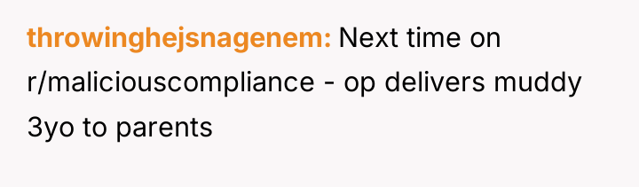 throwinghejsnagenem Next time on r/maliciouscompliance - op delivers muddy 3yo...