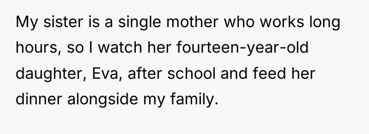 My sister is a single mother who works long hours,...