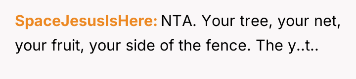 SpaceJesusIsHere NTA. Your tree, your net, your fruit, your side...