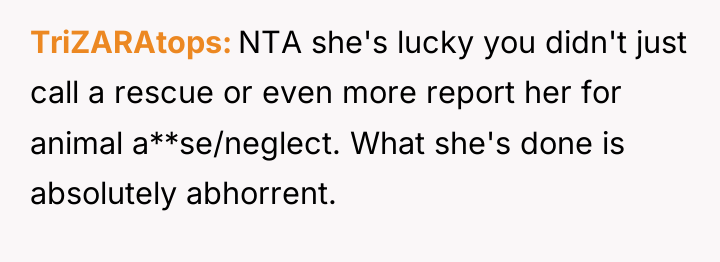 TriZARAtops NTA she's lucky you didn't just call a rescue...