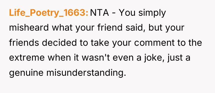 Life_Poetry_1663 NTA - You simply misheard what your friend said,...