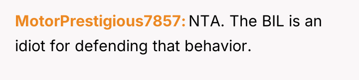 MotorPrestigious7857 NTA. The BIL is an idiot for defending that...