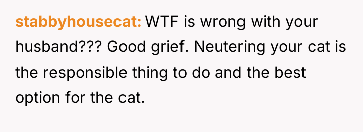 stabbyhousecat WTF is wrong with your husband??? Good grief. Neutering...
