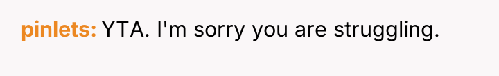 pinlets YTA. I'm sorry you are struggling.