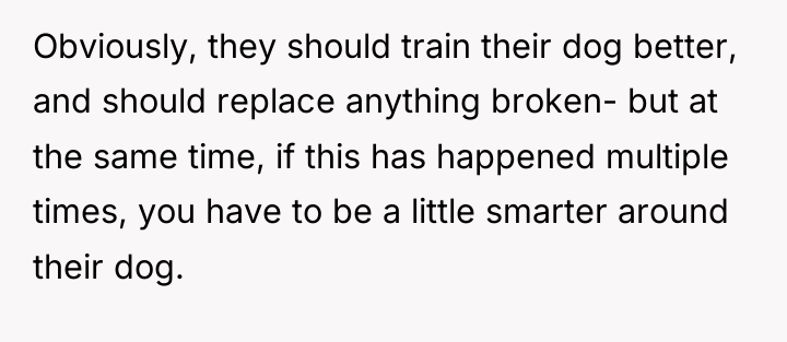 Obviously, they should train their dog better, and should replace...