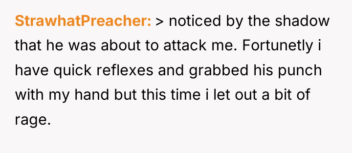 StrawhatPreacher > noticed by the shadow that he was about...