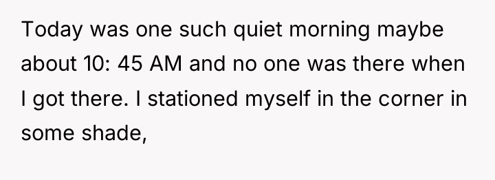 Today was one such quiet morning maybe about 10: 45...