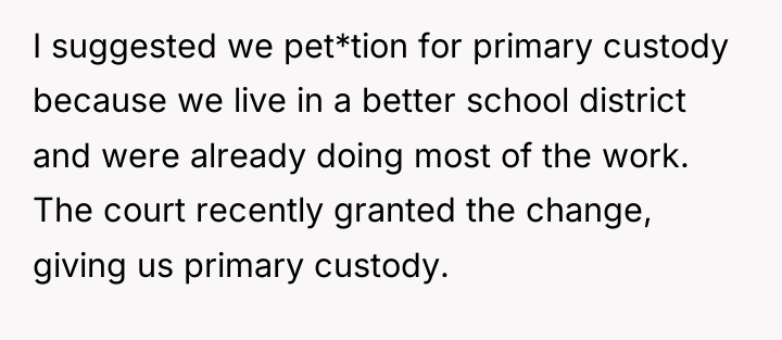 I suggested we pet*tion for primary custody because we live...