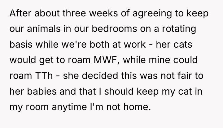 After about three weeks of agreeing to keep our animals...