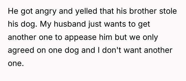 He got angry and yelled that his brother stole his...