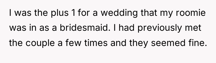 I was the plus 1 for a wedding that my...
